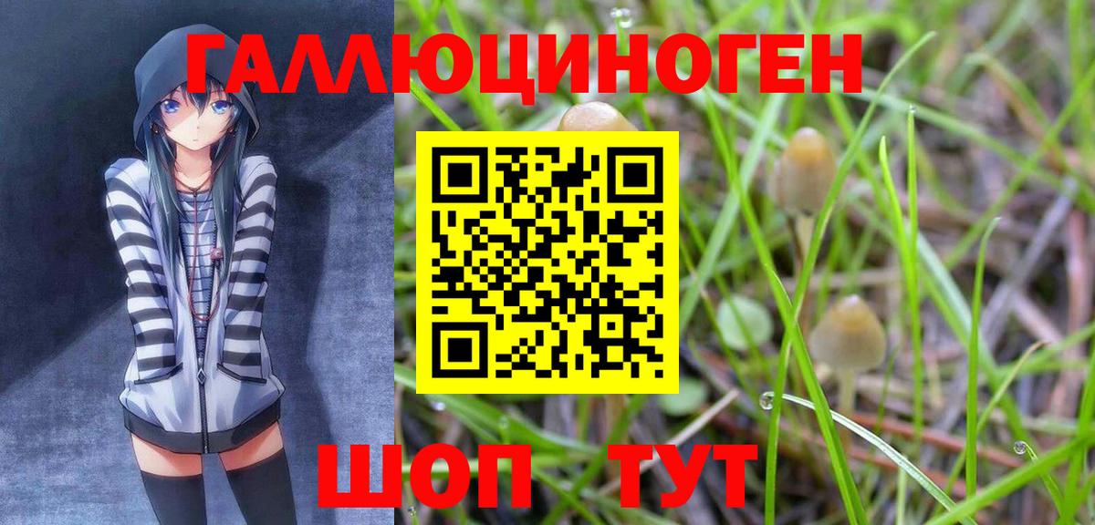 Зеленогорск  купить   Вход с VPN  Псилоцибиновые грибы мухоморы 